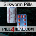 Silkworm Pills 36